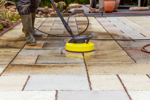 Animal Enclosure Cleaning in Franklin Square, NY